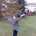 phoca_thumb_m_drak 13 Fotogalerie